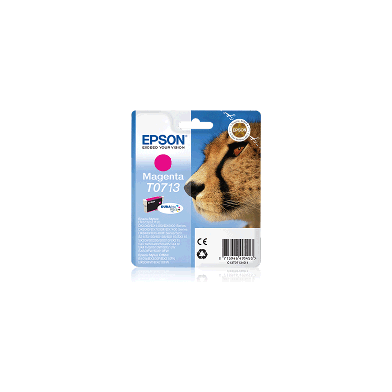 EPSON_T071340_STYLUS_MAG_(C13T071340)